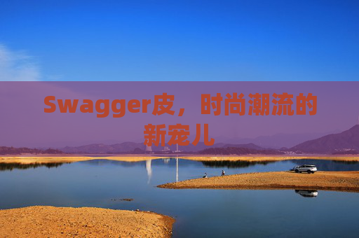 Swagger皮，时尚潮流的新宠儿