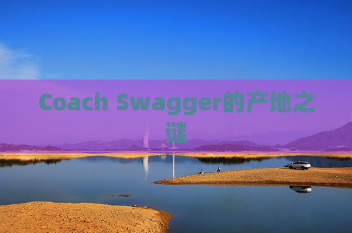 Coach Swagger的产地之谜