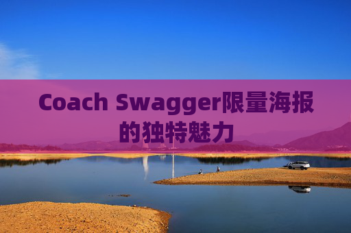 Coach Swagger限量海报的独特魅力